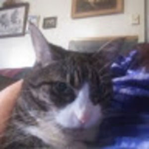 Meet your Posher, Ann